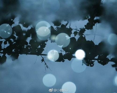  分享会治愈力满分小醒iso教你简单干净的日系照怎么拍