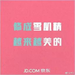  京东2017年广告文案合集他叫你不必成功,自己却在努力成功