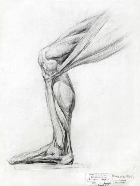  艺术赏析圣彼得堡列宾美术学院优秀素描作品赏析