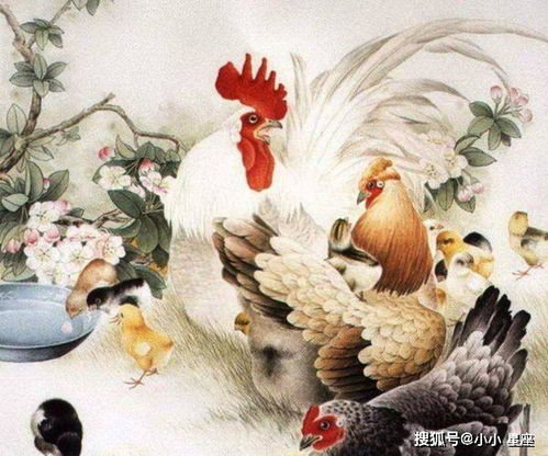  属鸡人明天就是一年一度的转运日,接到下半年一直发发发