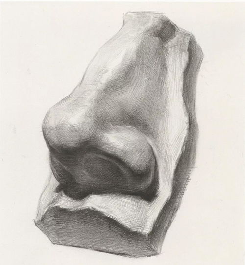  超强干货丨素描石膏像之鼻子的刻画