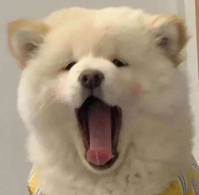  没想到这都能赚到