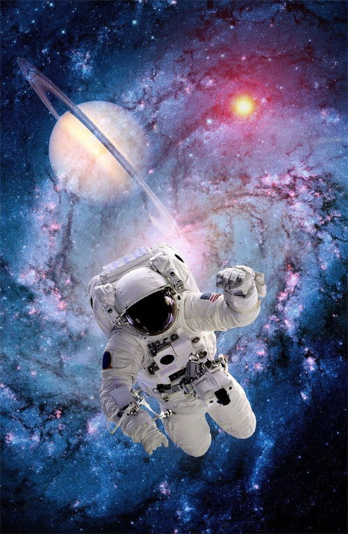  除了人类,还有哪些动物进入过太空