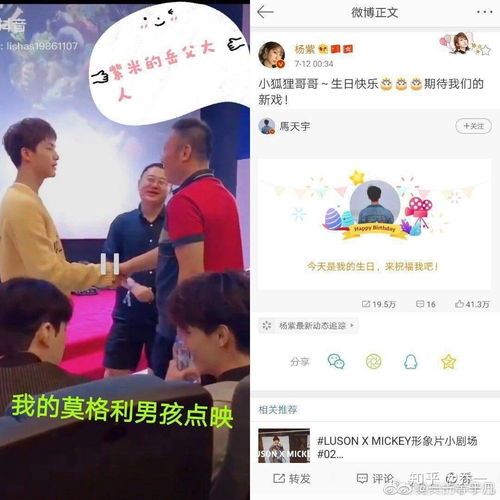 杨紫团队真的是撕番成瘾吗