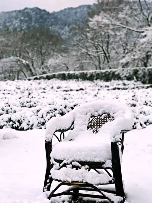  美呆了哪些地方人少雪景美小编都理好了