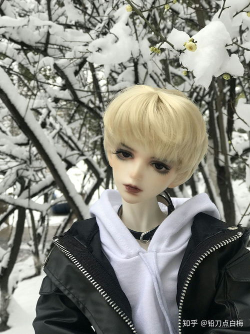  有什么精致的大尺寸bjd男娃能附带照片推荐一些吗