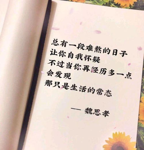  霸气句子一击就碎的念头不是梦想,一碰就哭的人不配拥有梦想