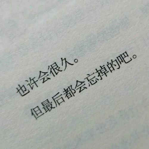 手机头像图片可爱微信朋