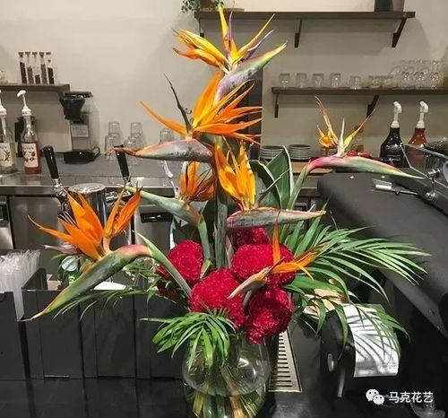  干货来袭想让你的花安全越冬吗看这里