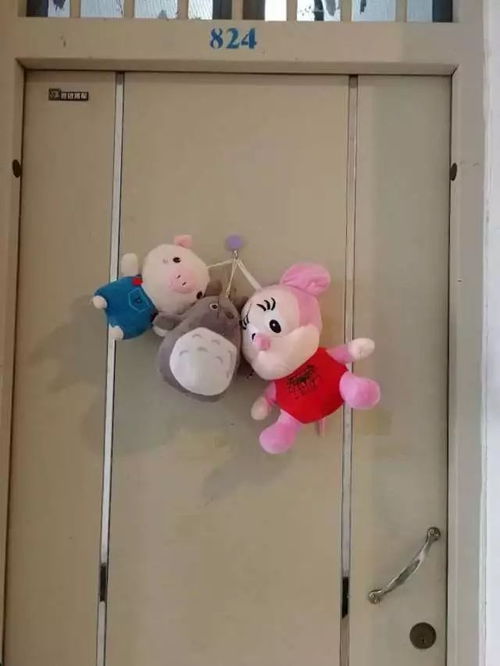  生权aunt谁是你们宿舍的门面担当