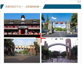  助力母校重庆大学90周年校庆在线捐赠平台24小时standby