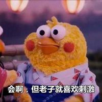  网红鹦鹉兄弟表情包微信头像图片大全