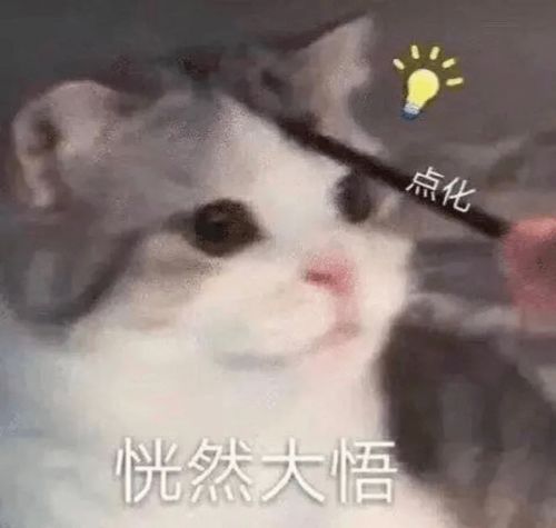  用这骗粉丝的钱良心不会痛吗