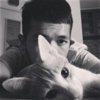  抱着猫咪的情侣头像