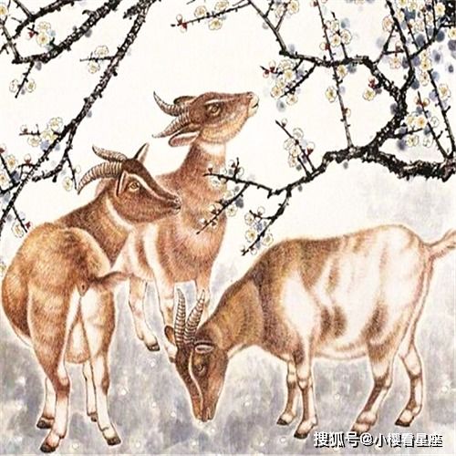  2021年3月15号开始,多财多福,财源广进,运势上升,生活喜气洋洋的四属相