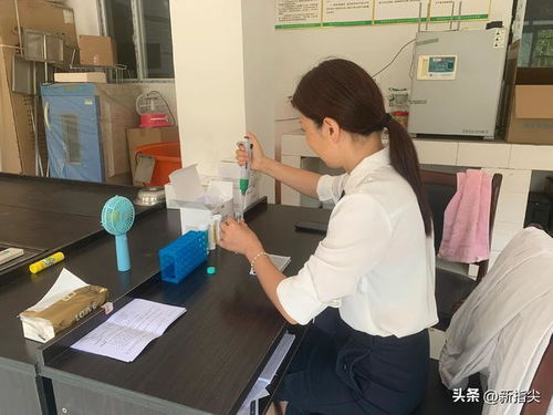  澧县码头铺镇当好产品质检员守护舌尖安全关