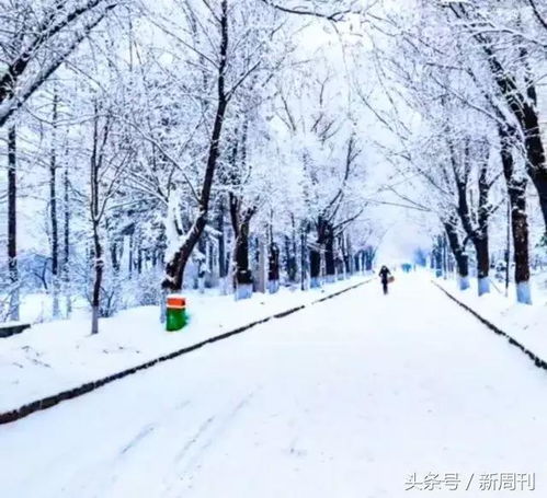  十大雪景校园在最冷的节日里,看最美的雪