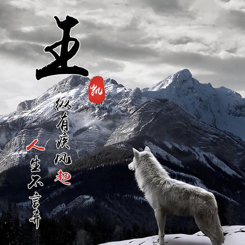  虎年新年新气象,2022霸气虎励志个性签名微信头像,喜欢的请带走
