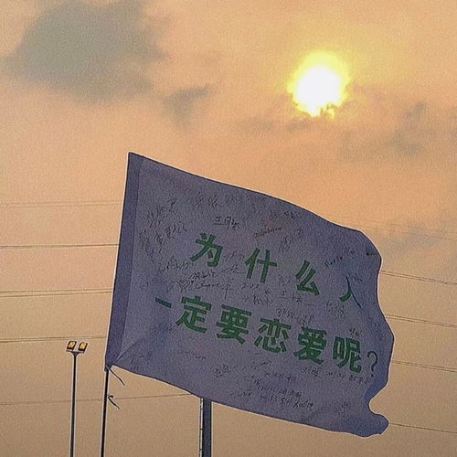  文案背景我梦寐以求是真爱与自由