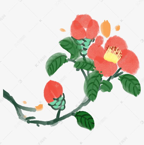  手绘小清新山茶花山茶籽素材图片免费下载千库网