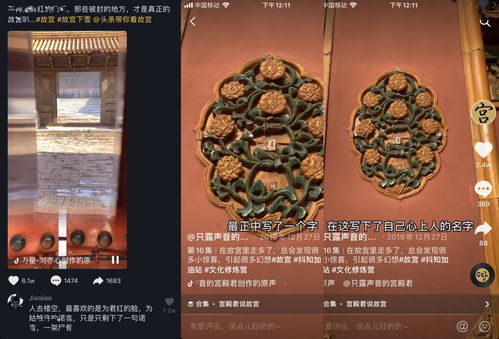  在抖音上做博物馆账号,怎么涨粉