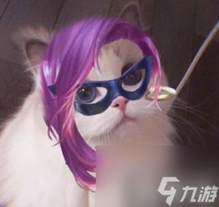  九游游戏中心王者荣耀猫咪刺客头像大全