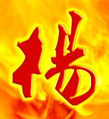  我姓杨微信头像关于姓氏杨字头像