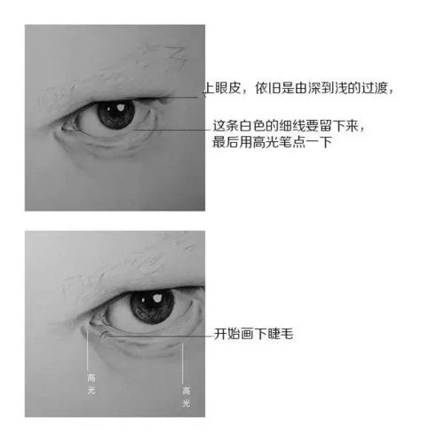  素描教程写实人物眼睛素描画法