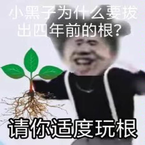  ikun表情包20张有2019清朝老图,2022鬼畜新图,及各种动图持续更新欢迎自取p1