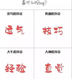  菜鸟程序员和大神程序员的差别竟然这么大...