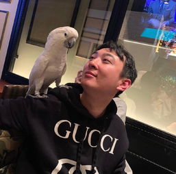  王思聪的宠物鸭被吃了,这个后续让人意外,果然还是王可可最得宠