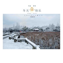  图虫风光摄影2018年西湖雪景
