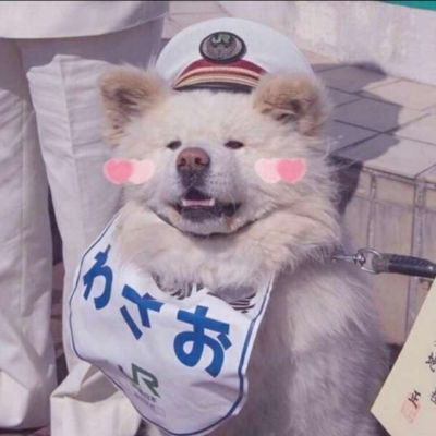 沙雕动物头像动物