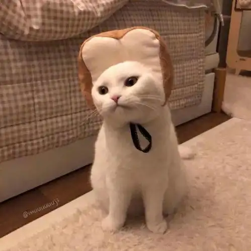 可爱又沙雕的头像,换上就是最快乐的仔 可爱又沙雕的头像,换上就是最快乐的仔