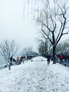  去杭州看雪景