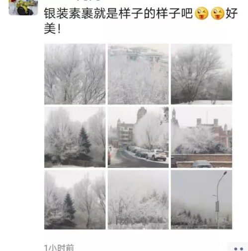  当伊通河遇上雾凇,仙气十足的长春美得不像话高清壁纸附上