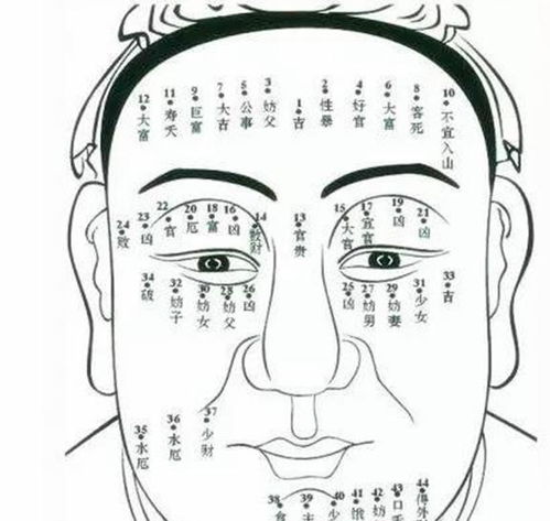  大师被皇帝召见,他说中午我若是回不来就死了,结果句句应验了