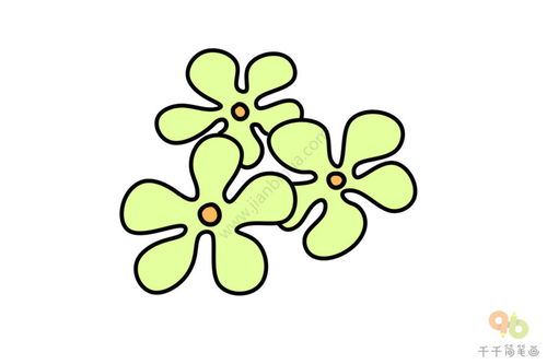  茉莉花简笔画图片大全