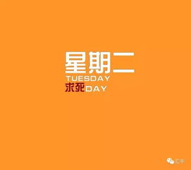  618刘强东霸屏了陌陌布局直播造星计划