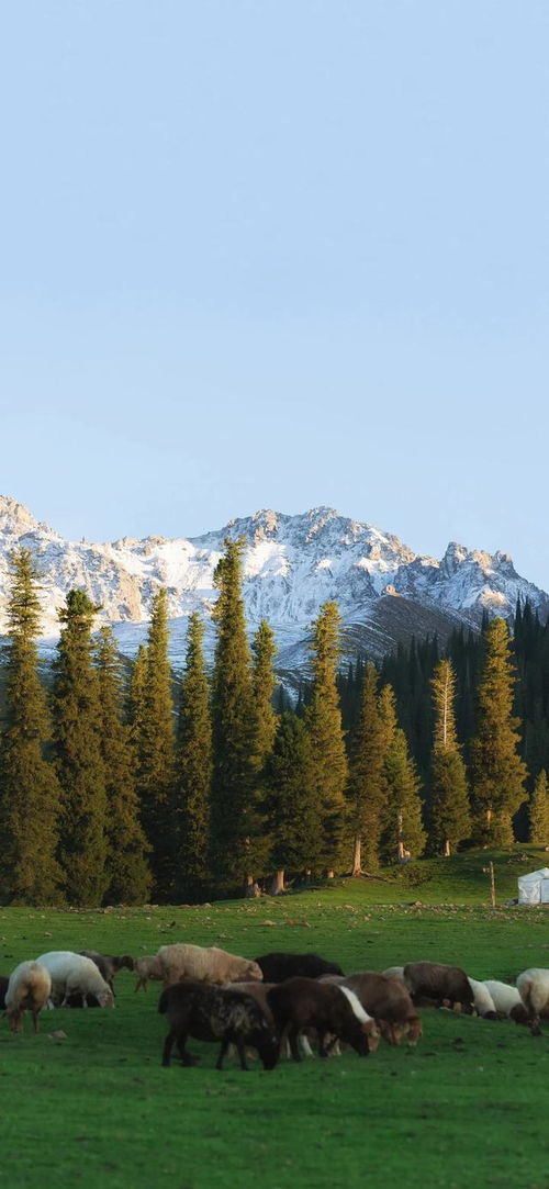  高清山手机壁纸