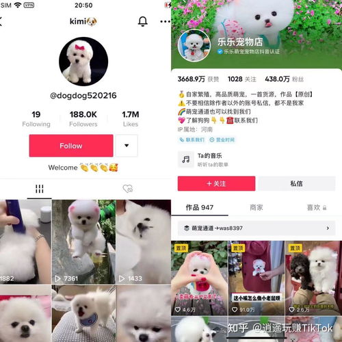  做海外版抖音tiktok账号详细全流程,新手小白必看附内部资料