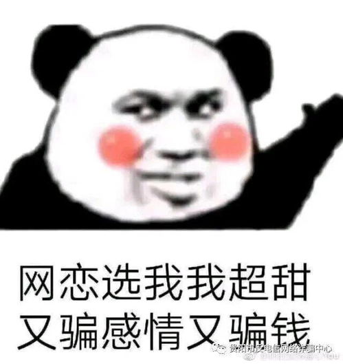  老年人也骗难得你的良心不会痛吗