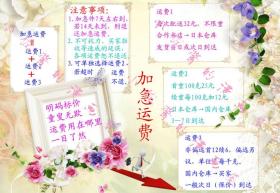  小说终结的炽天使一濑红莲19岁的世界再诞全2卷日文原版单行本