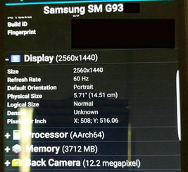  新一年的三星galaxys7有新意思,后置摄像头像素不升反降