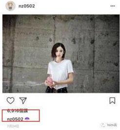  张翰古力娜扎分手仅分手十多天张翰就重新关注了郑爽