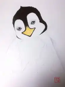  零基础萌系水彩呆萌的企鹅教程