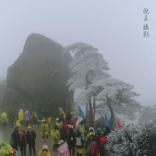  天下第一奇山黄山雪中游