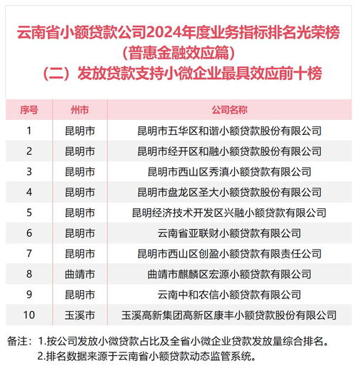  云南省小额贷款协会发布2024年度贷款发放等排名情况