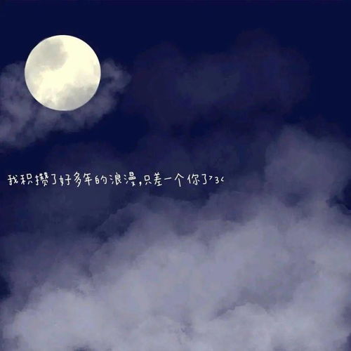 头像背景丨花朝夕月人间值得