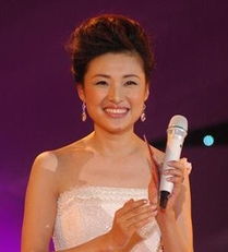  董卿周涛敬一丹柴静知名女主播靠啥进央视
